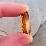 Genuine Amber Fossilized Tree Resin Specimen Oval Polished Cabochon Gem Stone