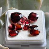 Loose Faceted Garnet Red Stone Gemstone Harvest 10 Assorted Gems 2.2g