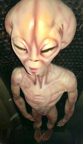 Alien Extraterrestrial Life Size Actual Movie Prop 1994 Roswell UFO Cover Up