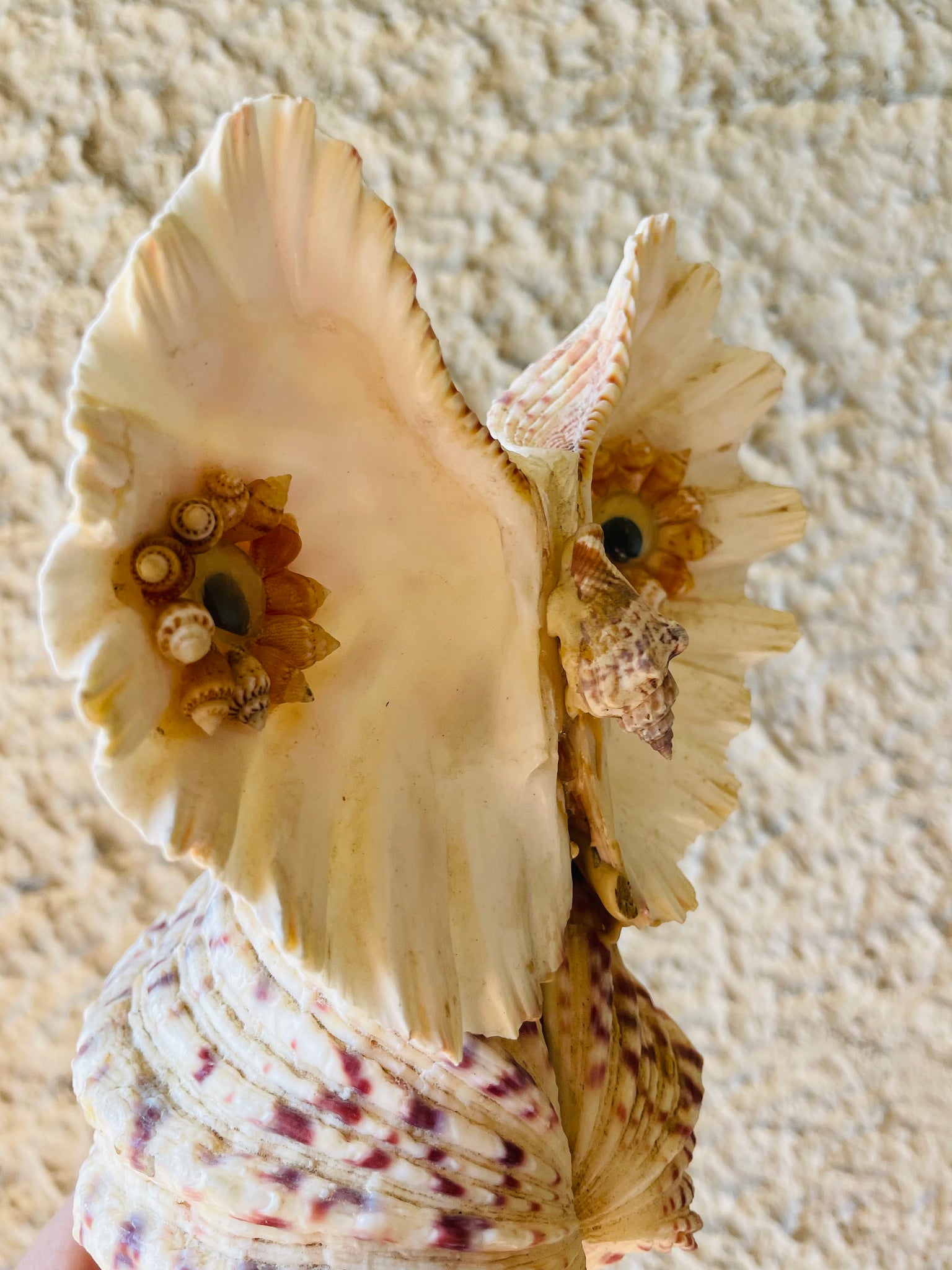 Owl Shell Figurine, Ocean art
