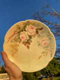 J & C Louise Bavaria Hand Painted Floral Dinner Plate Dish Set 2 Flower Plates