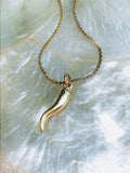 Gold Plated Italian Horn Necklace