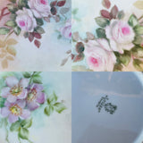 J & C Louise Bavaria Hand Painted Floral Dinner Plate Dish Set 2 Flower Plates