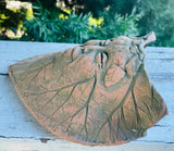 Terracotta Clay Art Pottery Flower Plant Wall Pocket Leaf Man Face Decor