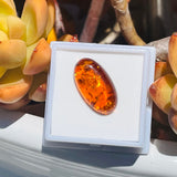 Genuine Amber Fossilized Tree Resin Specimen Oval Polished Cabochon Gem Stone