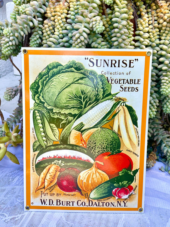 Ande Rooney Porcelain W.D. Burt Co Dalton NY Sunrise Vegetable Seeds Sign Decor