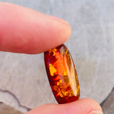 Genuine Amber Fossilized Tree Resin Specimen Oval Polished Cabochon Gem Stone