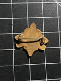 Ramblers Association Pin