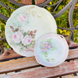 J & C Louise Bavaria Hand Painted Floral Dinner Plate Dish Set 2 Flower Plates