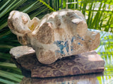 Antique Primitive Sacred 17th Century Elephant Thai Temple Spiritual Relic Piece