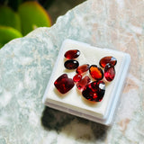 Loose Faceted Garnet Red Stone Gemstone Harvest 10 Assorted Gems 2.2g