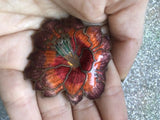 Vintage Hibiscus Multi Color Red Orange Flower Cloisonné Enamel Brooch Pin