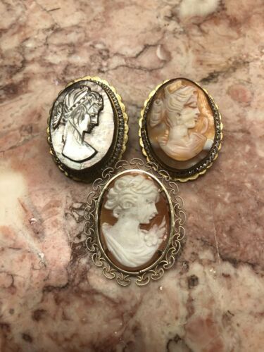 Lot Of 3 Victorian Shell Cameo Pins