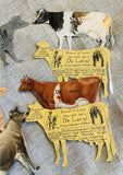 De Laval Cream Dairy Advertising Metal Tin Separator Cow Cards Set 9 Cows Rare