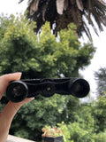 Rare Vintage Carl Zeiss Jena Telita 6 X 18 Binoculars w Original Case
