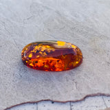 Genuine Amber Fossilized Tree Resin Specimen Oval Polished Cabochon Gem Stone