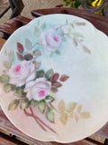 J & C Louise Bavaria Hand Painted Floral Dinner Plate Dish Set 2 Flower Plates