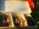 Asian Brass Enamel Multi Color Cloisonne Bird Set of 4 Birds w Box & Stands