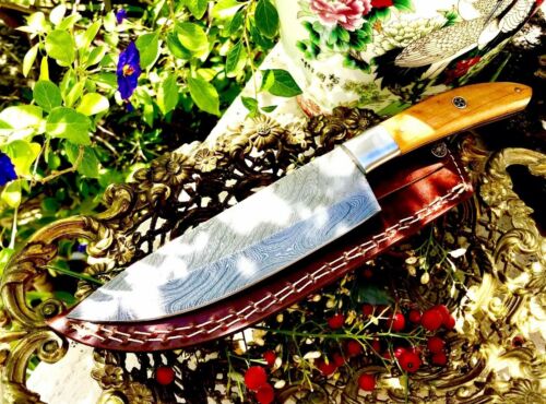 Rare Custom Handmade Damascus Chef Knife Paka Wood + Leather Sheath