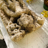 17th Century Antique Stone Carved Thai Temple Sea Excavated Artifact Relic Idol