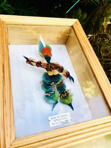 Original Arte Plumaria Mexico “Gaillard” Feather Art In Shadow Box