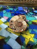 Large Antique Ammonite Fossil Crystal Stone Artisanal Statement Pendant