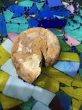 Large Antique Ammonite Fossil Crystal Stone Artisanal Statement Pendant