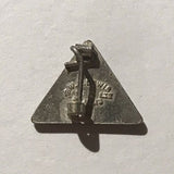 Small HSA Pin Badge