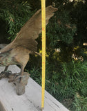 Vintage Bronze Tone Brass Metal Large Perch Eagle Bird Figurine Statue Sculpture