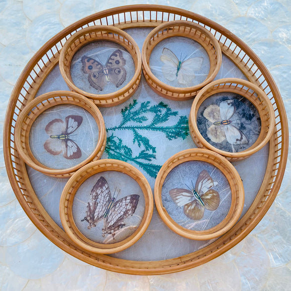 1970's Bamboo Wood Glass Butterfly Specimen Set of 6 Coasters & Serving Tray