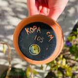 Signed Kopa CM 105 Hand Painted in Arizona Artisan Decorative Art Pottery Vase