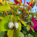 Sterling Silver 925 Blue Turquoise Calcite Gem Stone Dangle Drop Earrings 5.5g