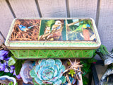 Vintage Nestles Bird Metal Tin Trinket Green Box Container