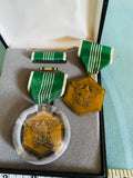 Merit Military United States Of America 4 Pin Green White Medals Set in Box