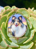 Vintage Collie Dog Portrait style Oval Multicolor Pendant