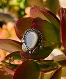 Sterling Silver 925 Mother of Pearl Feather Signed Bear Paw Print Ring Size 4.5