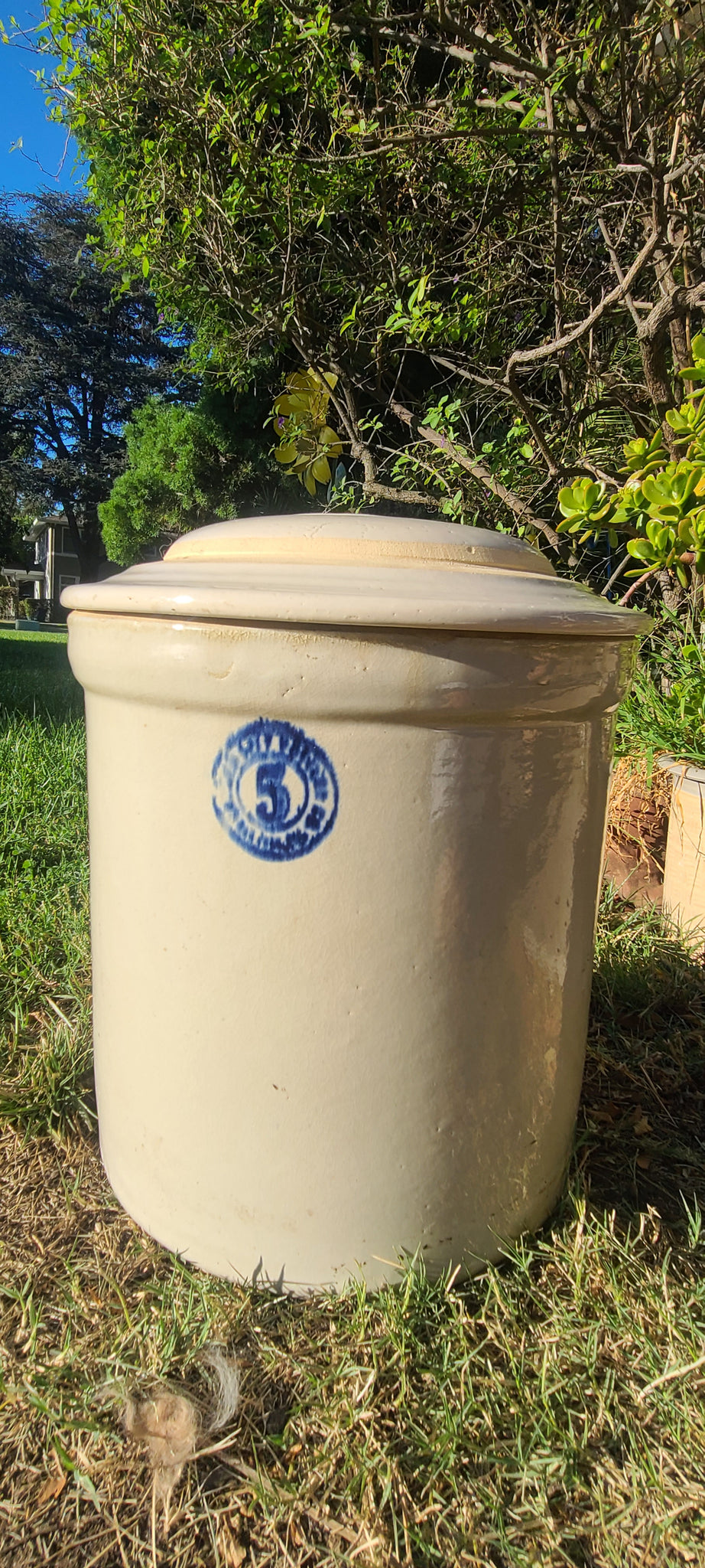 Antique 5 Gallon Ceramic Crock Pot Blue & White Complete With 56