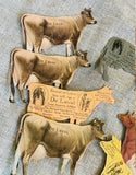 De Laval Cream Dairy Advertising Metal Tin Separator Cow Cards Set 9 Cows Rare