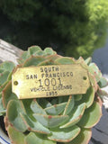 South San Francisco Brass 1955 Vehicle License 1001 Plate Tag Rare