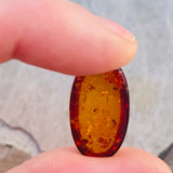 Genuine Amber Fossilized Tree Resin Specimen Oval Polished Cabochon Gem Stone