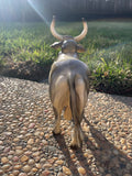Vintage Breyer Brahma Bull #70 Mold 1958-1967 Glossy Grey E.M. Boehm Sculptor