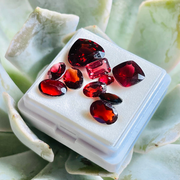 Loose Faceted Garnet Red Stone Gemstone Harvest 10 Assorted Gems 2.2g