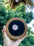 Rare Limited Edition Betty Boop Snow Glitter Tiki Paradise Globe W/ Pudgy Dog