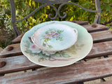 J & C Louise Bavaria Hand Painted Floral Dinner Plate Dish Set 2 Flower Plates