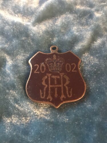 Vintage 2002 Henley Royal Regatta Members Enamel Badge #62
