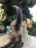 Antique Hand Made Tribal Horn Wood Carved Ceremonial Mask Rare