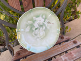 Welmar Germany Green Floral Pears Porcelain Decorative Plate